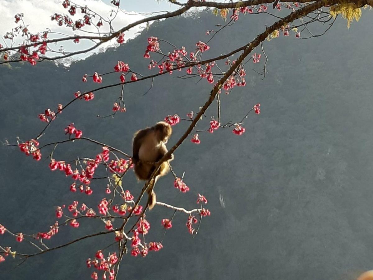 慢水山丘民宿 Slow Water Hill Yuemei Luaran gambar
