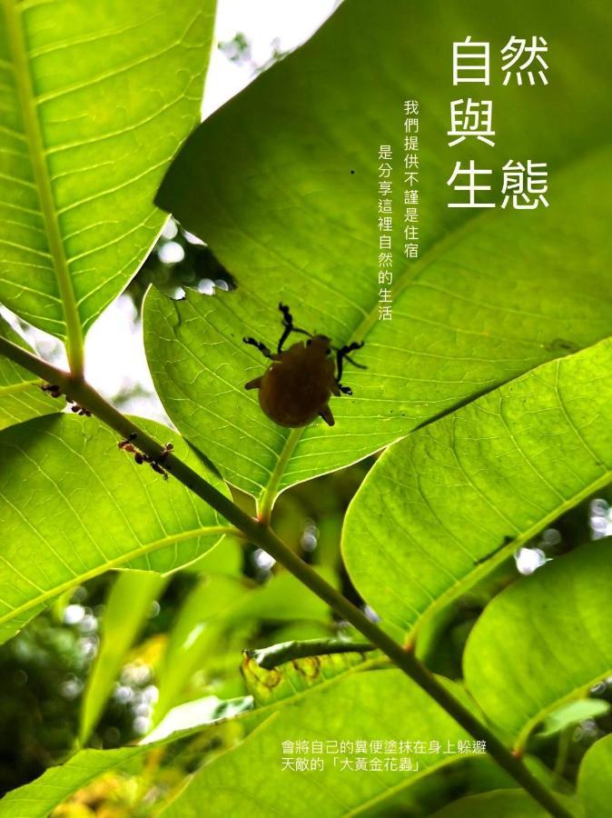 慢水山丘民宿 Slow Water Hill Yuemei Luaran gambar