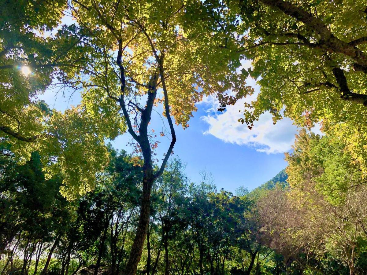 慢水山丘民宿 Slow Water Hill Yuemei Luaran gambar